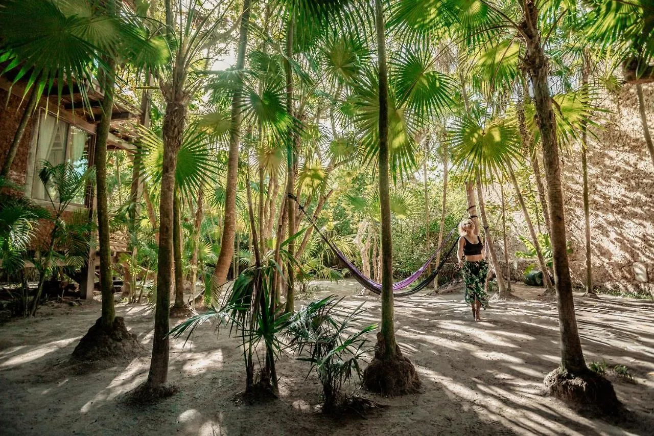 Hidden Treehouse Tulum Eco-Hotel Hotel