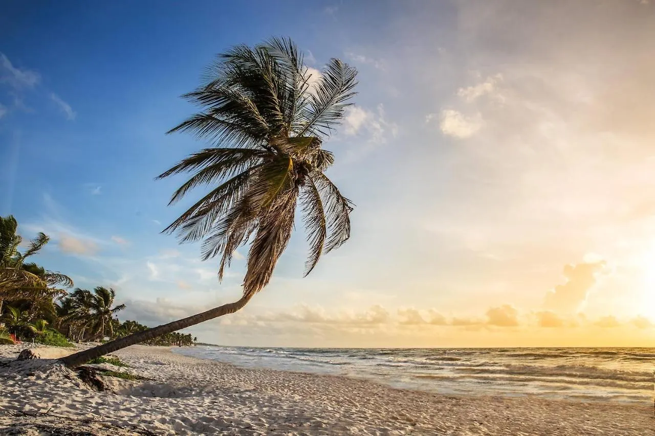 Hidden Treehouse Tulum Eco-Hotel