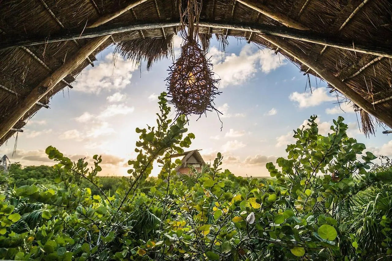 Hotel Hidden Treehouse Tulum Eco-Hotel