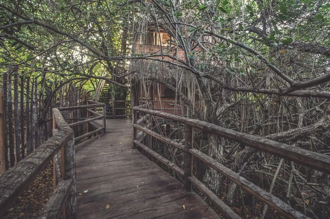 **** Hotel Hidden Treehouse Tulum Eco-Hotel Mexiko